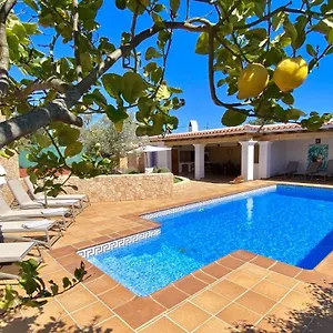 villa-palmera-guests-house.allmallorcahotels.com/