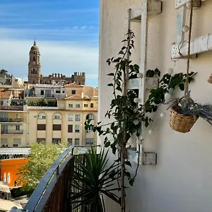 Exclusive Views Of Malaga, Santa Isabel Malaga